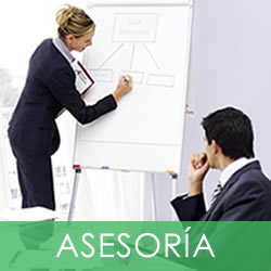 servicios1