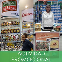 servicios3